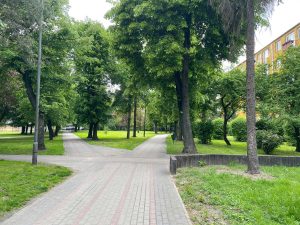 Zdjęcie przedstawia chodnik miejski z rozwidleniem dróg symbolizujący decyzje zakupowe podczas wyboru nieruchomości.